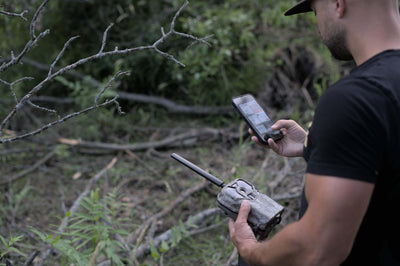 The Best Batteries For Cellular Trail Cameras