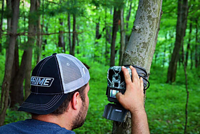 Document Deer Data with Trail Cameras and Photo Management Software