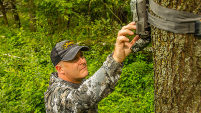 3 Can't Miss Early Season Bowhunting Strategies