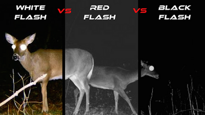 Black vs. Red vs. White Flash: 4 Trail Camera Experts Opinions