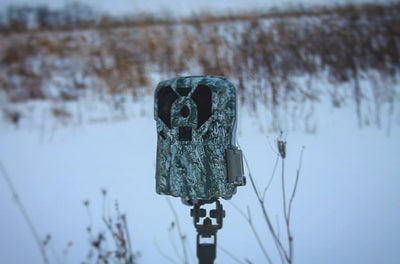 Buyers Guide For First Time Trail Camera Purchasers