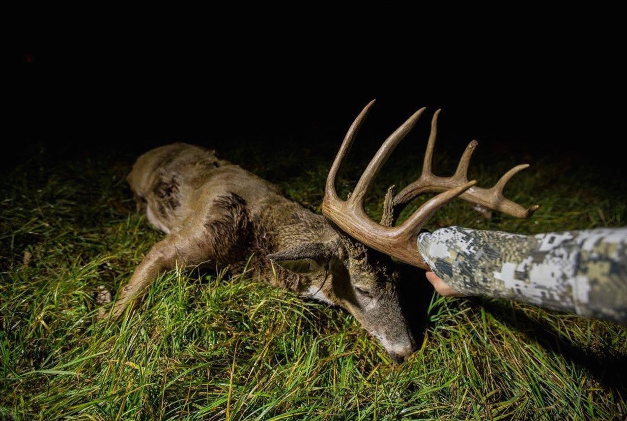 Researchers rack up tough secrets from deer antlers