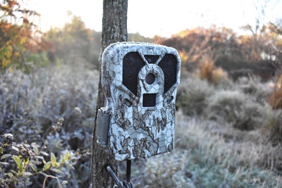 An In-Depth Look: How Trail Camera Detection Circuits Work