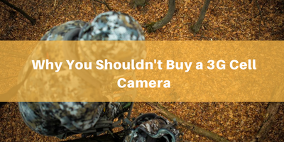 3G Cellular Trail Cameras – Why You Shouldn't Buy One