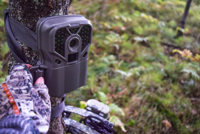 How Long Should You Wait To Check Your Trail Camera