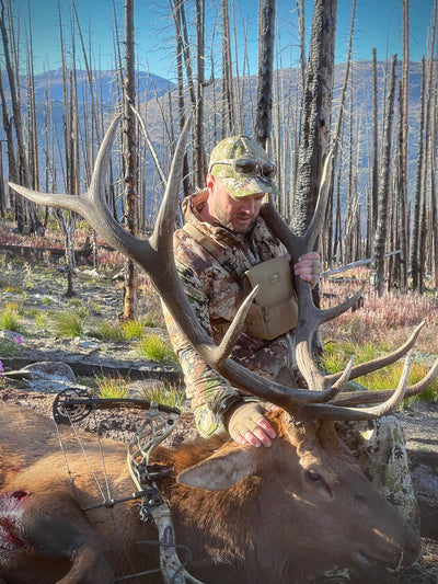 How to Avoid 5 Big Mistakes Made by New Elk Hunters