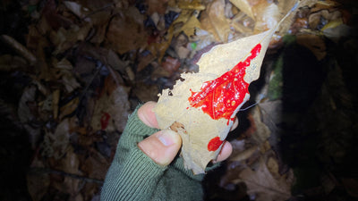 Blood Tracking: Surefire Tips And Rules To Blood Trail a Deer