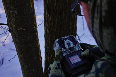 Off Season Trail Camera Uses: Is it Even Worth It?