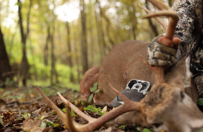 Effectively Using Trail Cameras During The Rut