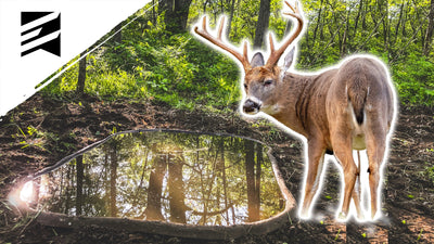 How To Use Trail Cameras and Water To Tag Your Buck