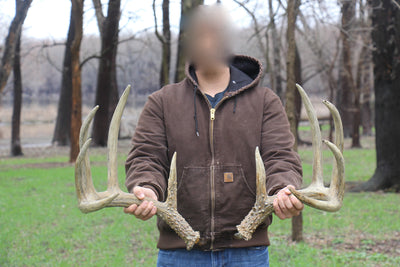 Sheds Found That Could Shatter Milo Hansen Buck Record
