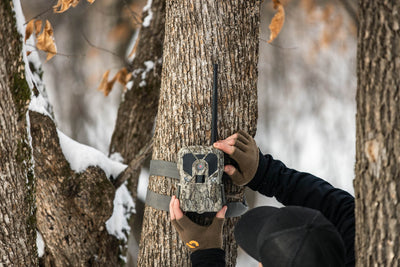 How To Use Cellular Trail Cameras for Deer Hunting