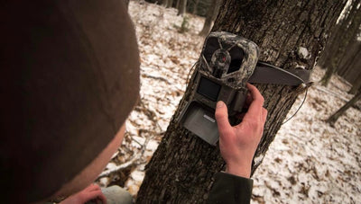 How Often Should I Check My Trail Cameras?