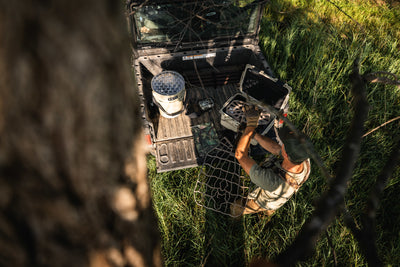 Using Trail Cameras to Effectively Scout a New Area