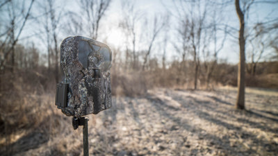 Using Trail Cameras for Security - Home and Cabin