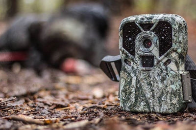 Scouting For Spring Turkeys With Trail Cameras