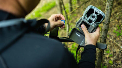 3 Strategies To Optimize Trail Cameras in The Spring